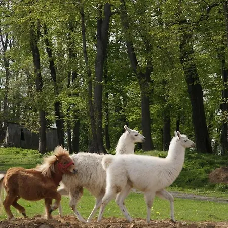 Na Wzgorzu * Tarnów